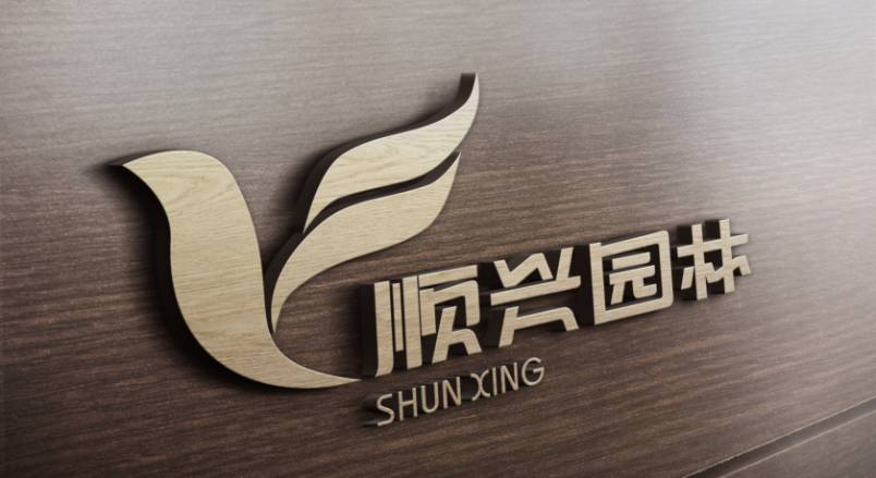 丰满区VI设计公司：城市视觉形象的专业筑梦者